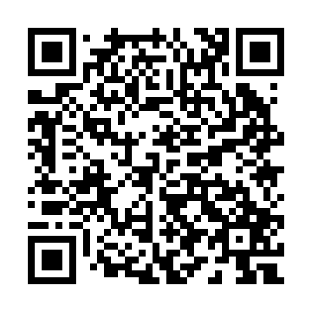 QR code for P91207