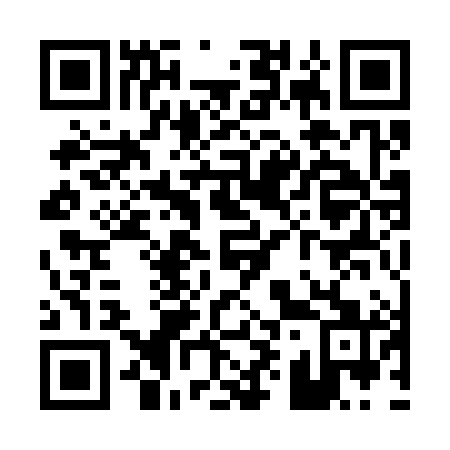 QR code for P91381