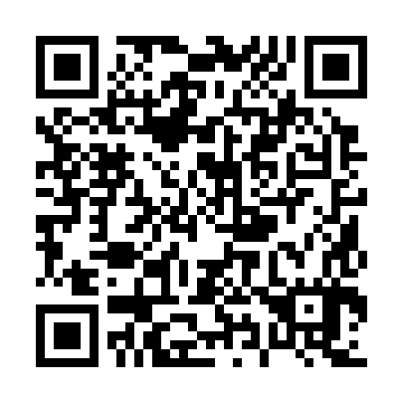 QR code for P91387