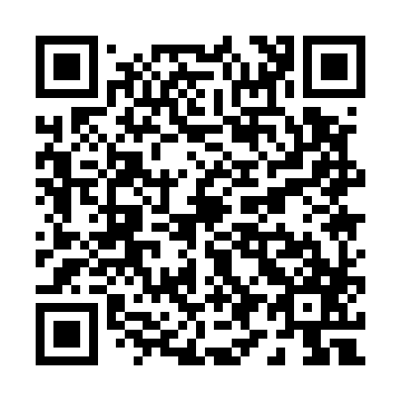 QR code for P91587