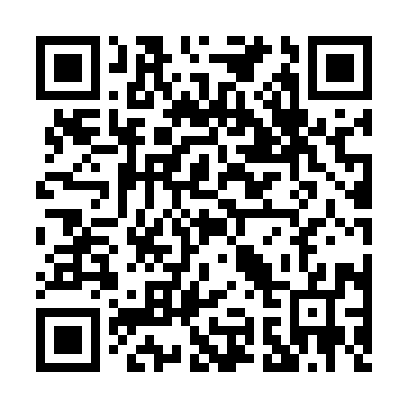 QR code for P91597