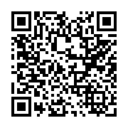 QR code for P91641