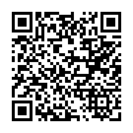 QR code for P91667