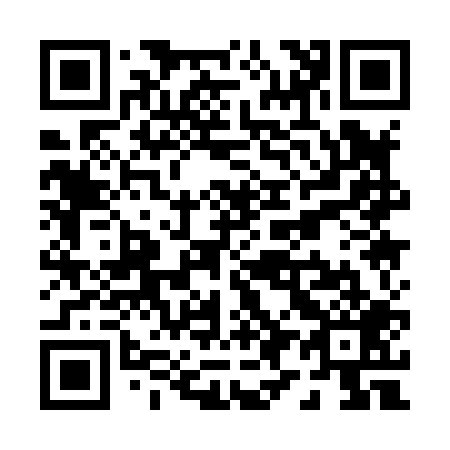 QR code for P91809