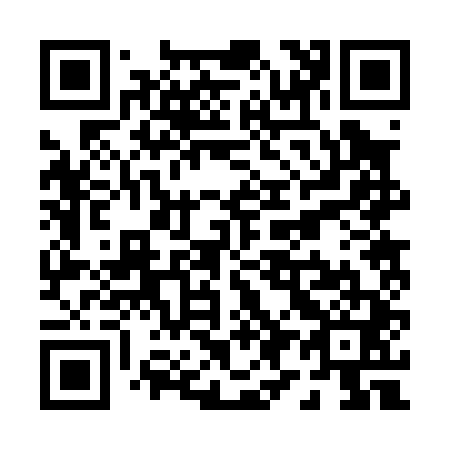 QR code for P92041