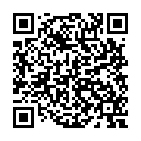 QR code for P92117
