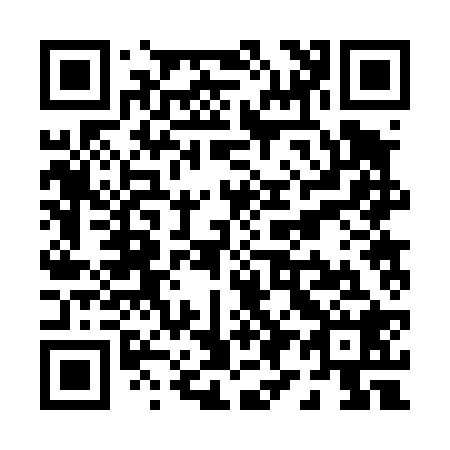 QR code for P92428