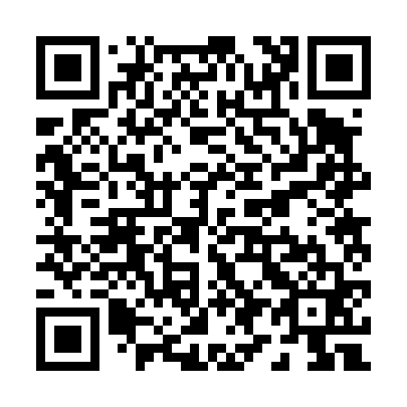 QR code for P92461