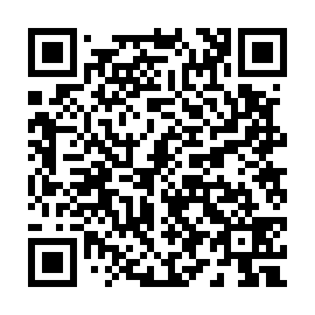 QR code for P92539