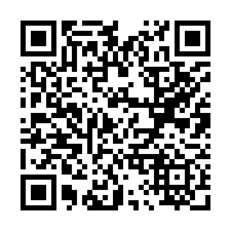 QR code for P92979