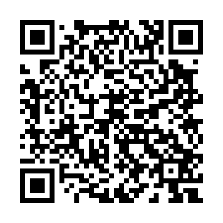 QR code for P93003