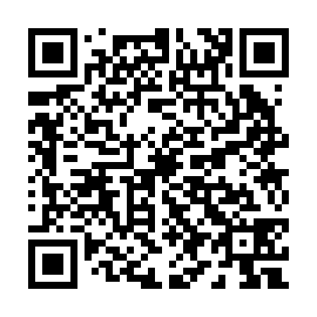 QR code for P93238