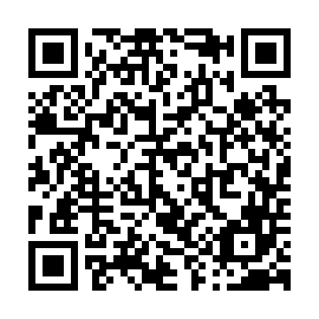 QR code for P93246
