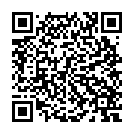 QR code for P93346