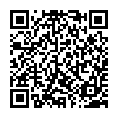 QR code for P93393