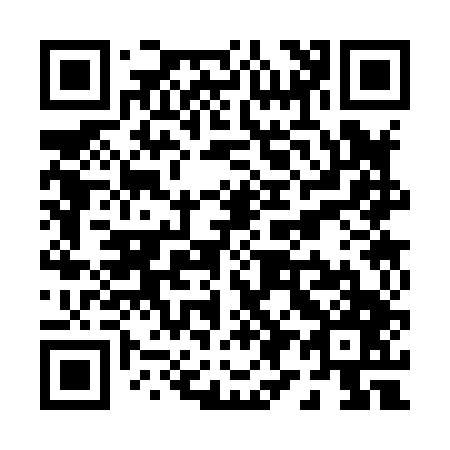 QR code for P93847