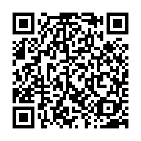 QR code for P93869