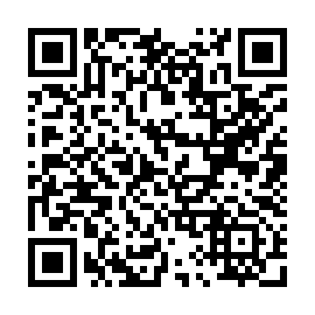 QR code for P93993