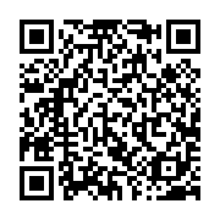 QR code for P94091