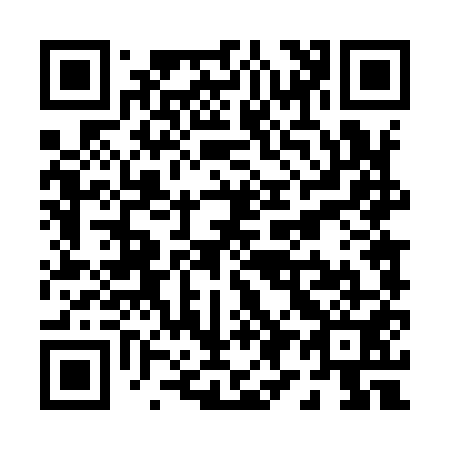 QR code for P94951