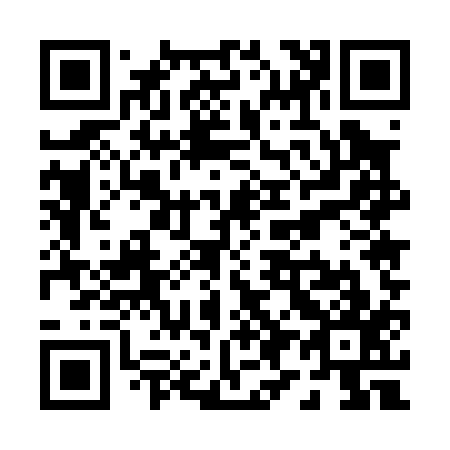 QR code for P95017