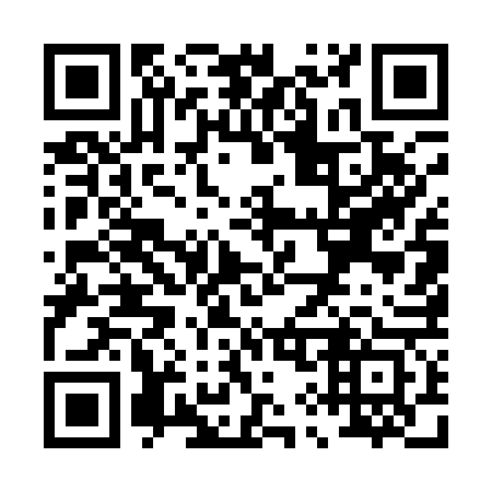 QR code for P95163