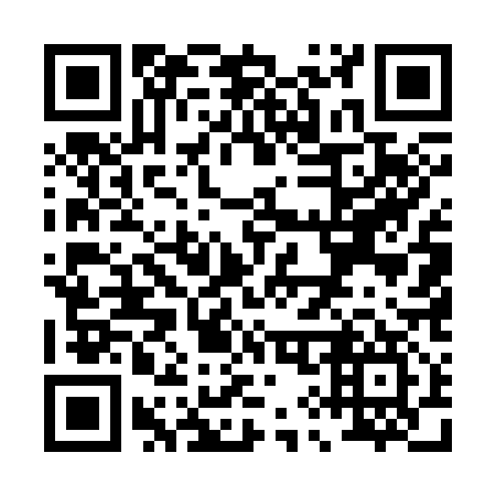 QR code for P95317