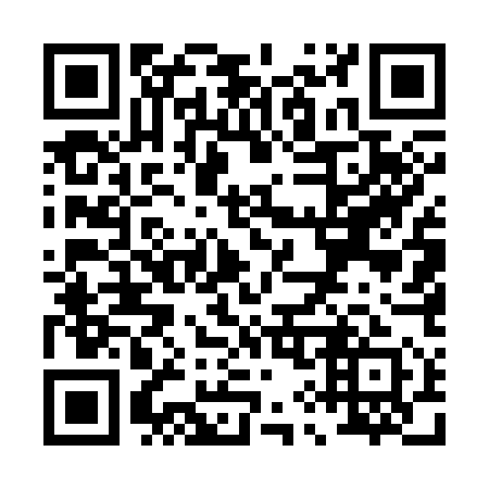 QR code for P95351