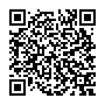 QR code for P95370