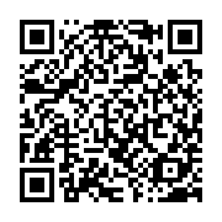 QR code for P95388