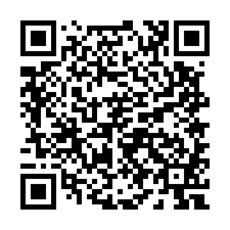 QR code for P95581