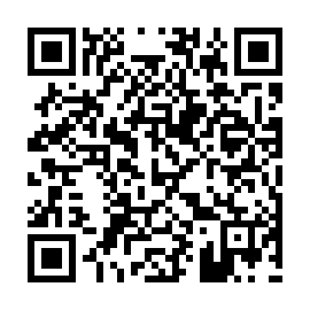 QR code for P95585