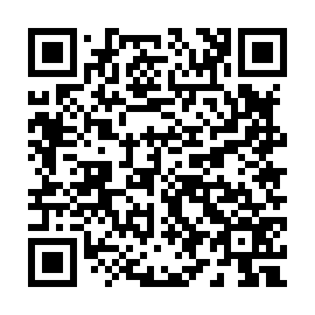 QR code for P95876