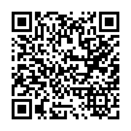 QR code for P95927