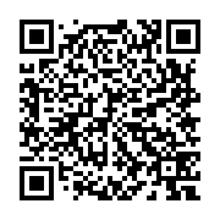 QR code for P95979