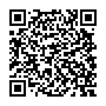QR code for P96005