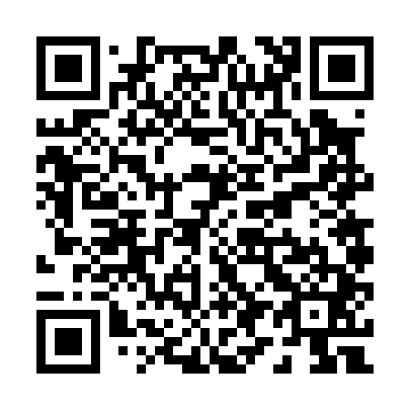 QR code for P96041