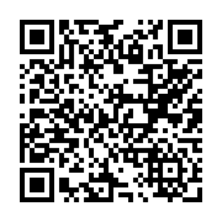 QR code for P96246