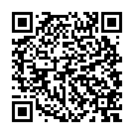 QR code for P96308