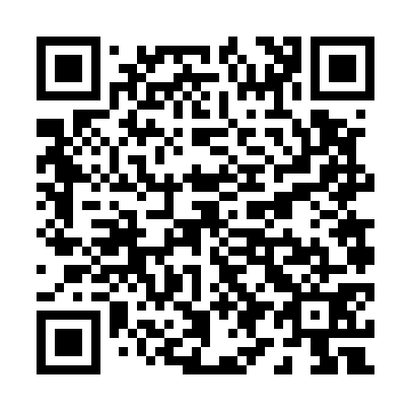 QR code for P96571