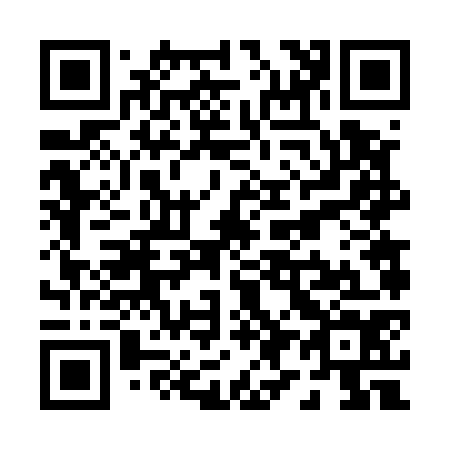 QR code for P96574