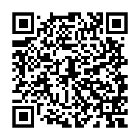 QR code for P96598