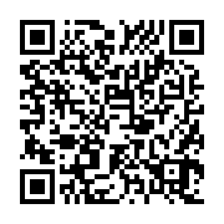 QR code for P96862
