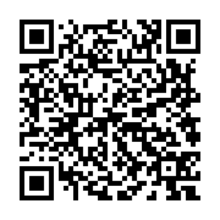 QR code for P96934