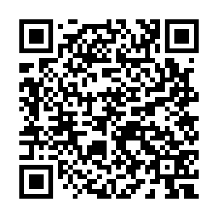 QR code for P97173
