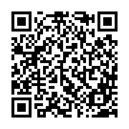QR code for P98746
