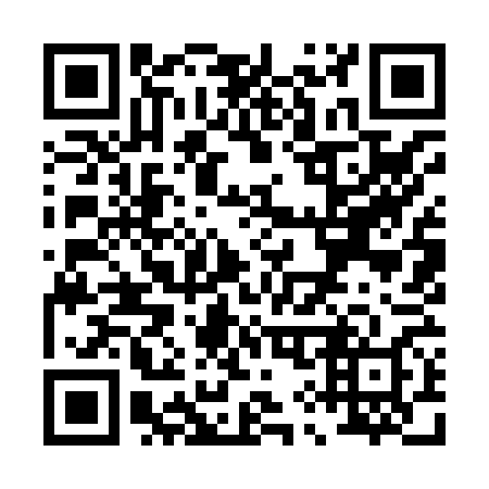 QR code for P99868