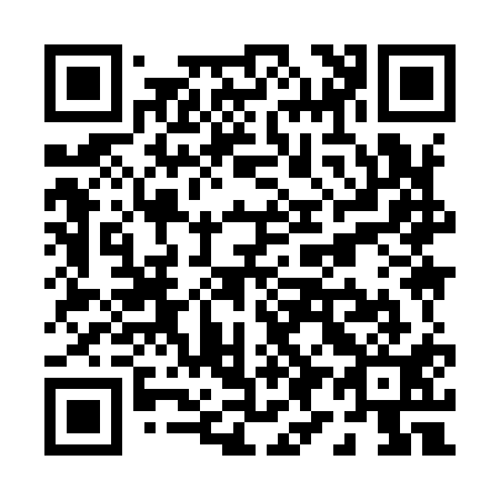 QR code for P99911