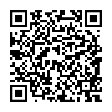 QR code for PAL2890