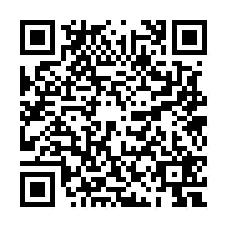 QR code for PAS-5295